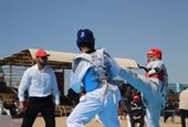 برترین‌های مسابقات تکواندو ساحلی استان بوشهر معرفی شدند