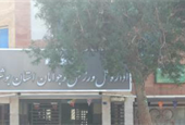 رقابت جدی ۴ گزینه برای تصاحب صندلی سکانداری ورزش استان بوشهر!